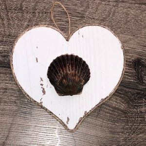 NEW!  Seashore Scallop Seashell Beachy Wall Art